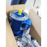 德國ATB防爆電機(jī)CD 100 L2-4