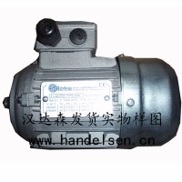 漢達(dá)森專(zhuān)供MOTOVARIO減速機(jī) NMRV-P 110型號(hào)簡(jiǎn)介