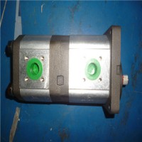 西班牙Roquet鋁齒輪泵和電機從 4 到 26，66 cc/rev |LZ - 低噪音系列
