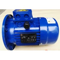 漢達(dá)森專(zhuān)業(yè)銷(xiāo)售MarelliMotori電機(jī)-意大利