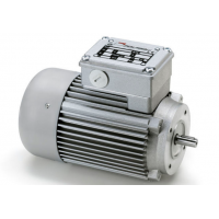 Minimotor齒輪電動(dòng)機(jī)MCER 160P2
