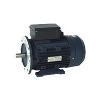 Electramo IE4三相鑄鐵電機YT4 160M1-2