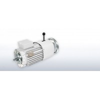 VEM緊湊型驅(qū)動器滑環(huán)感應電機系列