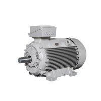Lammers低壓電機(jī) 效率等級(jí)：IE1、IE2、IE3、IE4