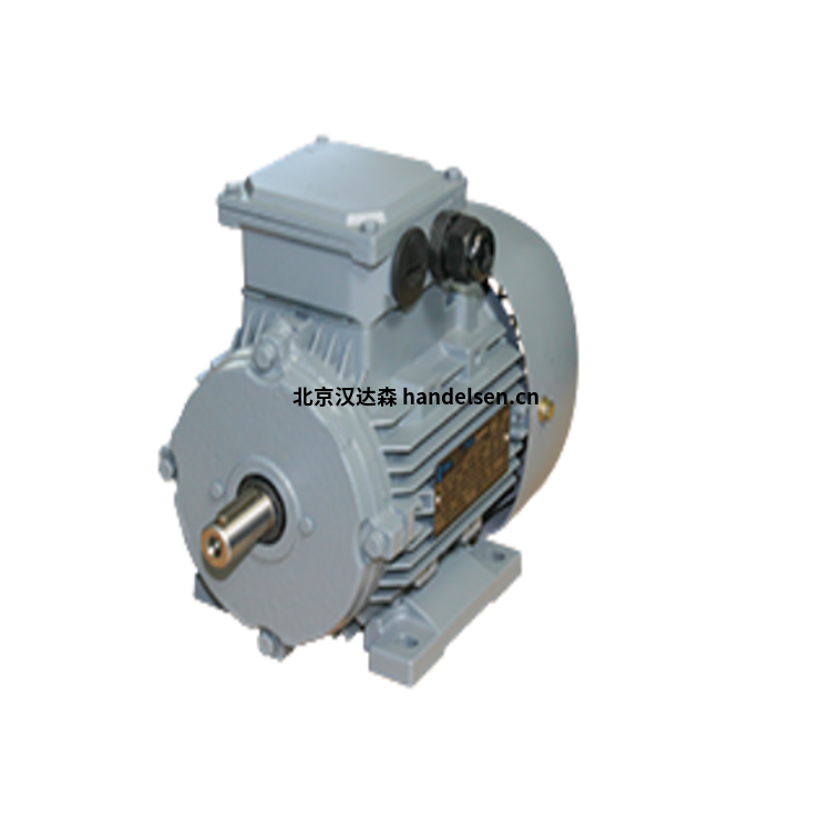 emwb Elektromotorenwerk Brienz AG標(biāo)準(zhǔn)發(fā)動(dòng)機(jī)