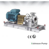 Johnson Pump 重型流程泵，適合化工/石化工業(yè)、煉油廠和一般工業(yè)應(yīng)用