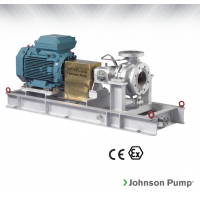 Johnson Pump 重型流程泵，適合化工、煉油廠和一般工業(yè)應(yīng)用
