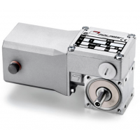 Mini Motor 蝸輪蝸桿直流減速電機(jī)BC2000-24MP，永磁直流電，全封閉