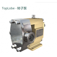 Johnson Pump TopLobe轉(zhuǎn)子泵，有12 種不同的尺寸可供選擇