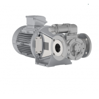 Johnson Pump 內(nèi)嚙合齒輪泵，適用于中等粘度、清潔和非磨蝕性液體