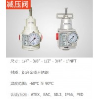 Sitecna 減壓閥，為廣泛的應(yīng)用提供了極好的調(diào)節(jié)，堅(jiān)固和腐蝕
