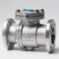 GESTRA RK86DN40PN40 止回閥：蒸汽與工業(yè)流體系統(tǒng)的堅(jiān)固守護(hù)者