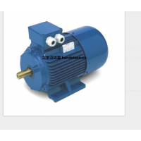 意大利 OEMER 異步電機(jī) MTES3 系列：高效驅(qū)動(dòng)，賦能工業(yè)新動(dòng)能