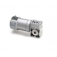 意大利Mini motor蝸桿齒輪電動(dòng)機(jī)PCC直流24V電機(jī)