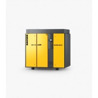 德國(guó)Kaeser干式螺桿壓縮機(jī)CSG 125 A風(fēng)冷式高效節(jié)能